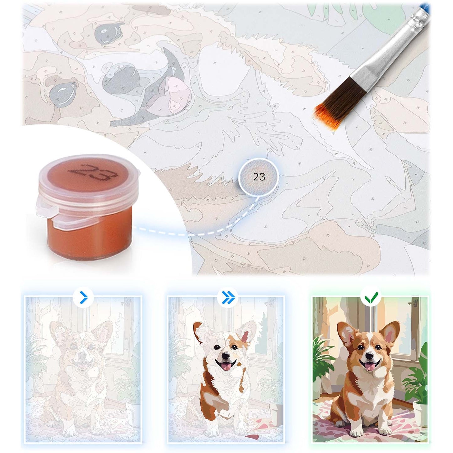 Painting by numbers 40x50 cm Massido Corgi dog