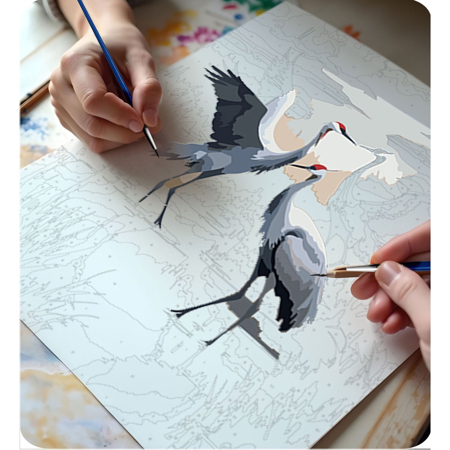 Painting by numbers 40x50 cm Massido Cranes