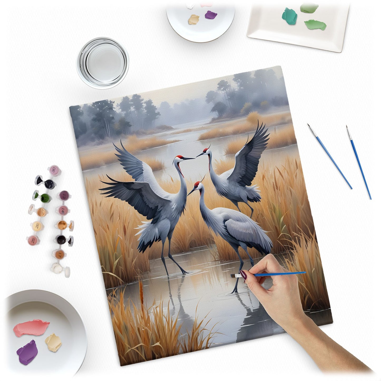 Painting by numbers 40x50 cm Massido Cranes
