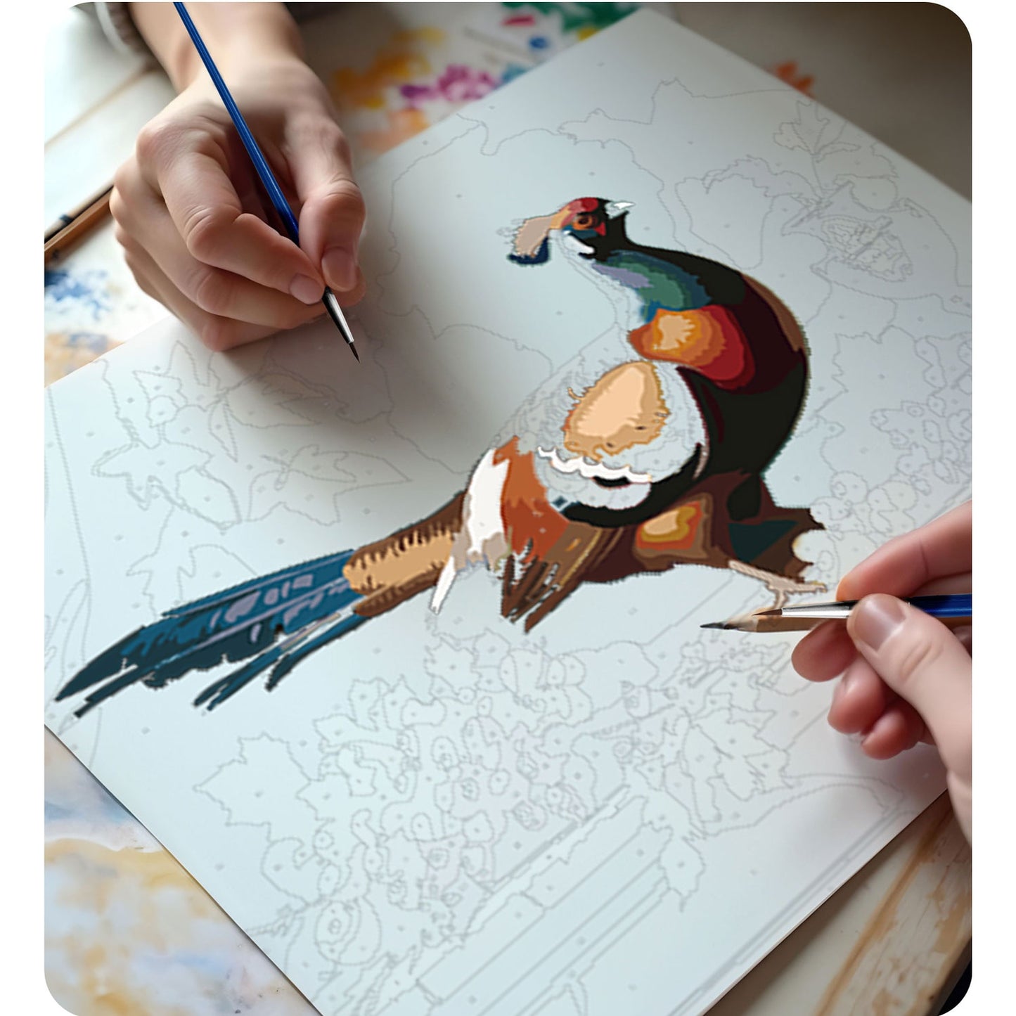 Painting by numbers 40x50 cm Massido Pheasant