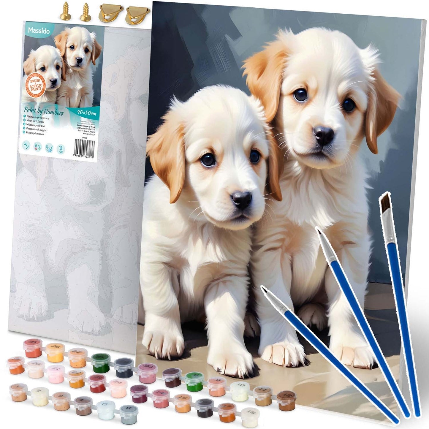 Painting by numbers 40x50 cm Massido Puppies