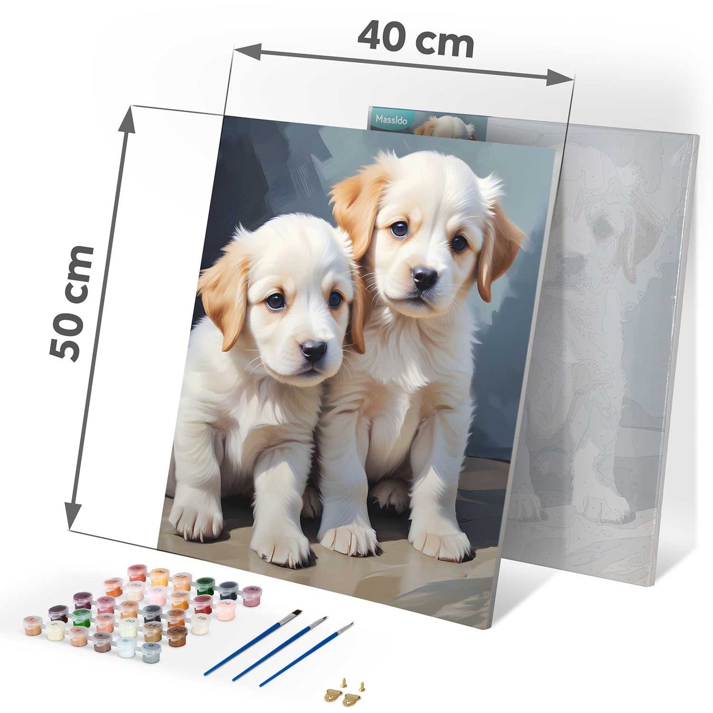 Painting by numbers 40x50 cm Massido Puppies