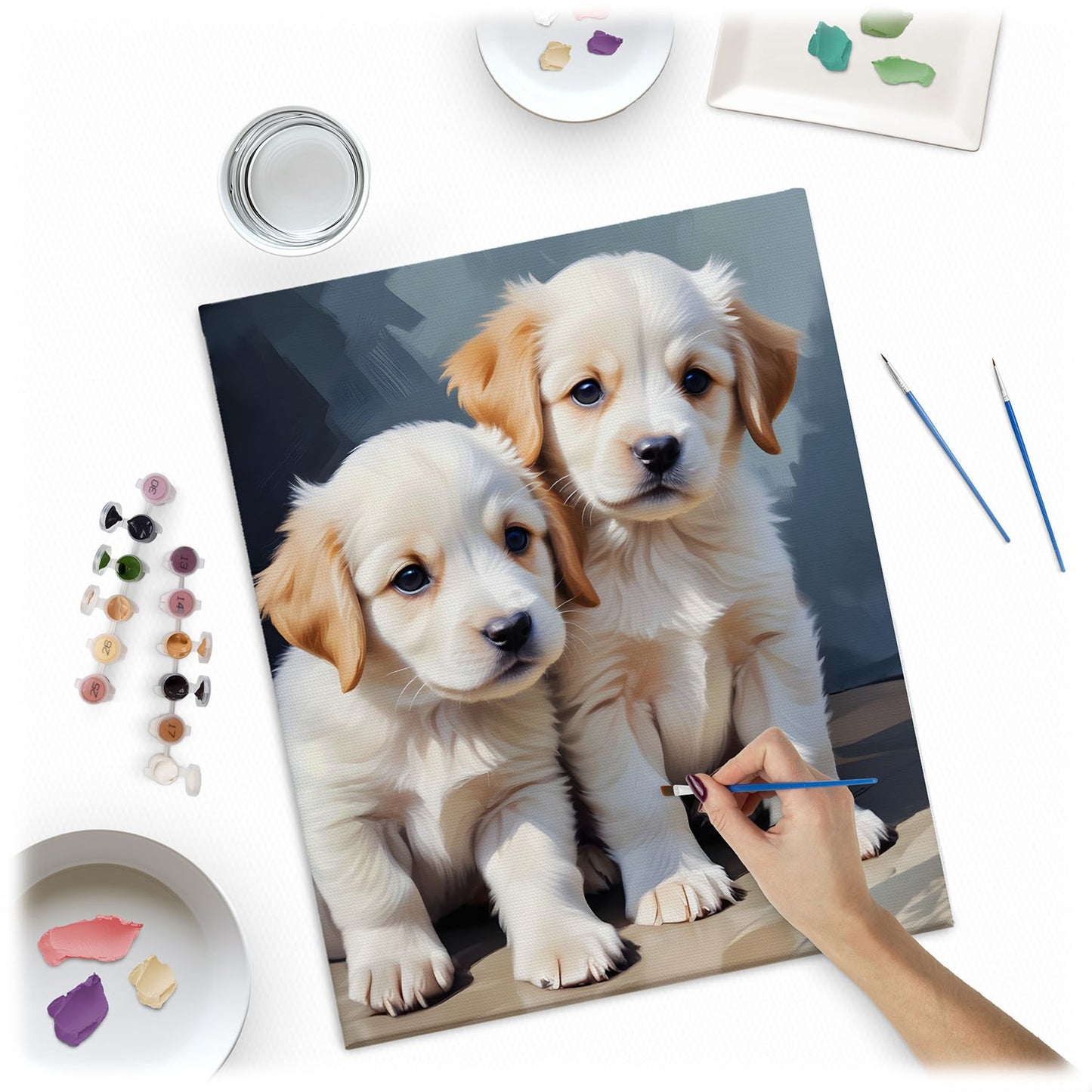 Painting by numbers 40x50 cm Massido Puppies