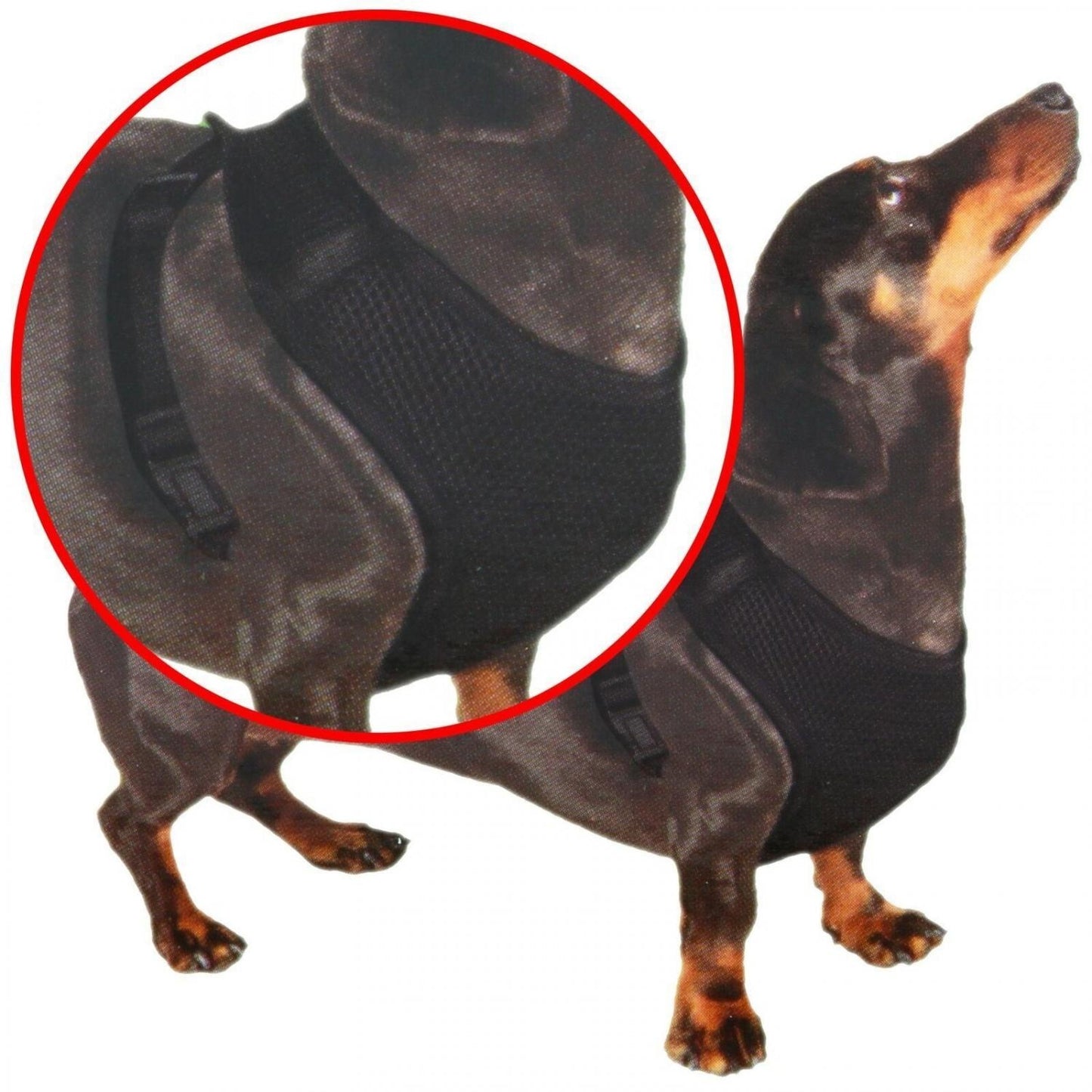 Pet Treatment ED-19000: Vest Dog Harness M - 54.6 x 85.2cm