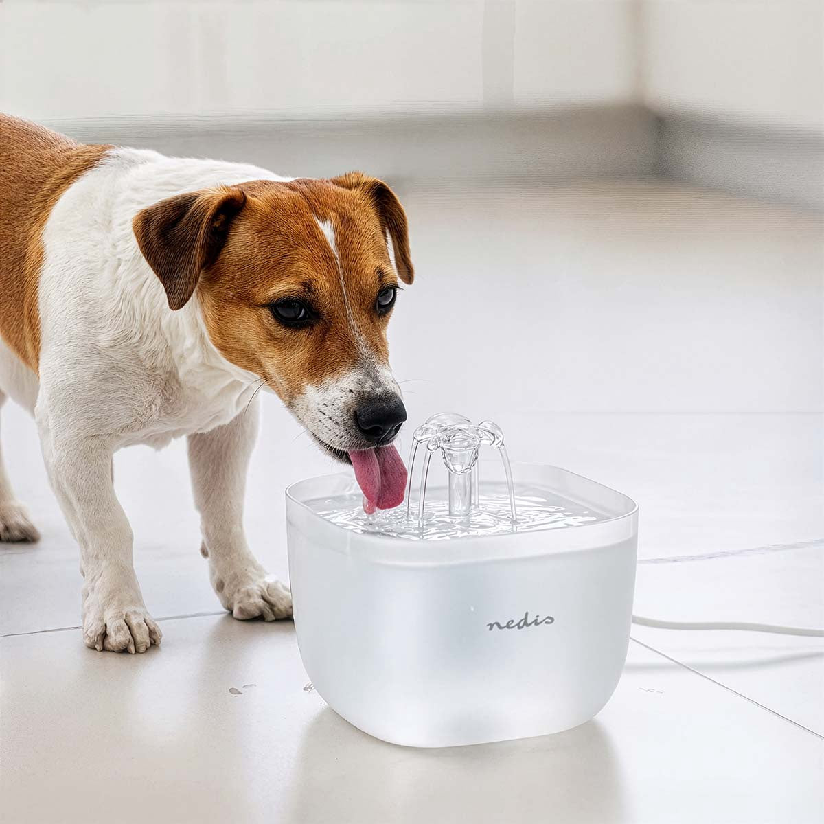 Pet Water Fountain, 2L Capacity, Ultra-Quiet Pump