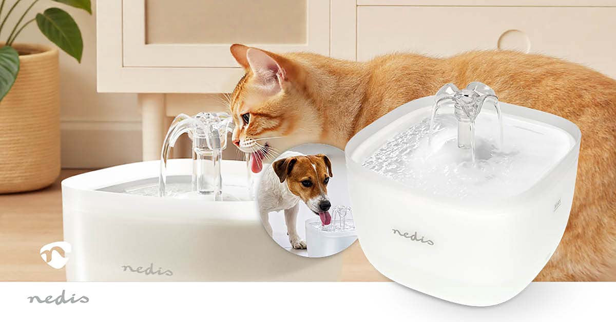 Pet Water Fountain, 2L Capacity, Ultra-Quiet Pump