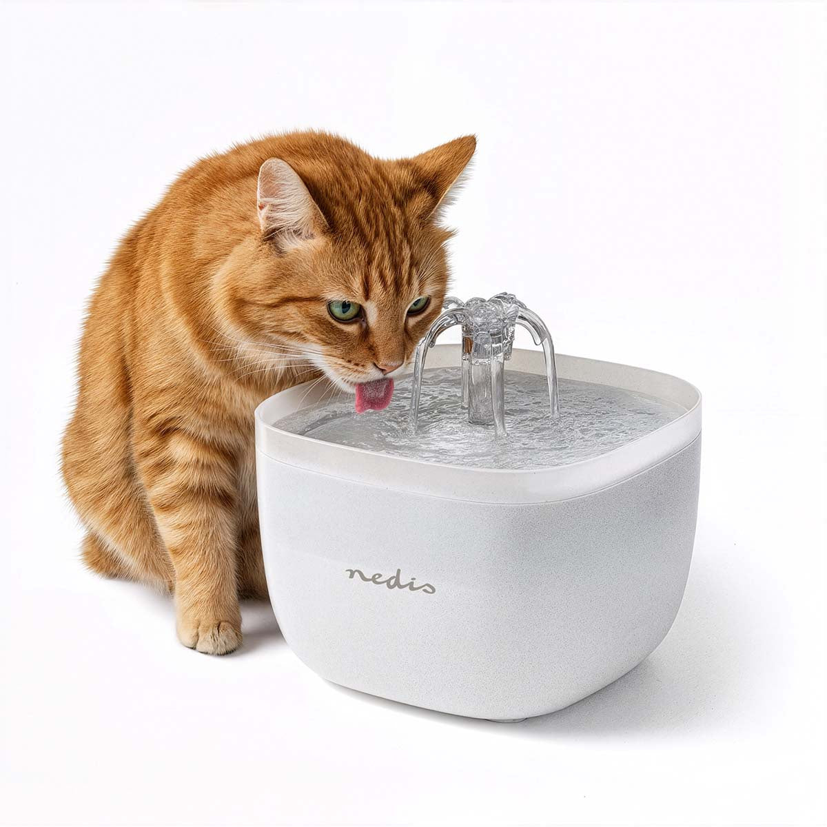 Pet Water Fountain, 2L Capacity, Ultra-Quiet Pump