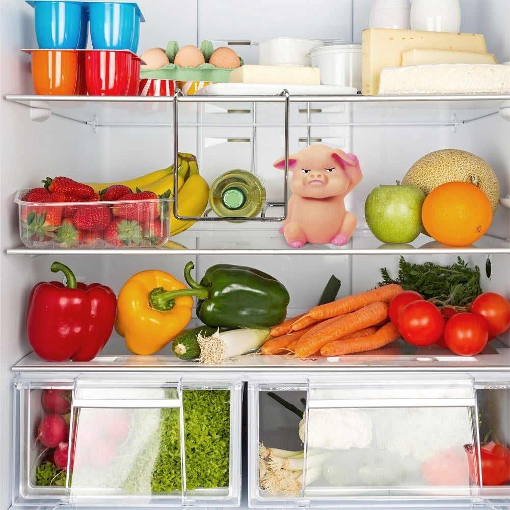 Pig that grunts: Light sensor for the refrigerator door