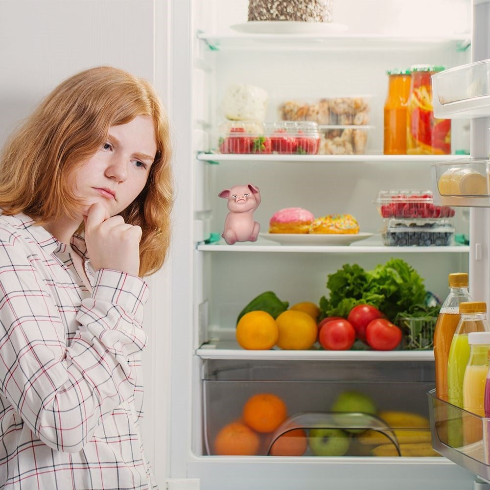 Pig that grunts: Light sensor for the refrigerator door