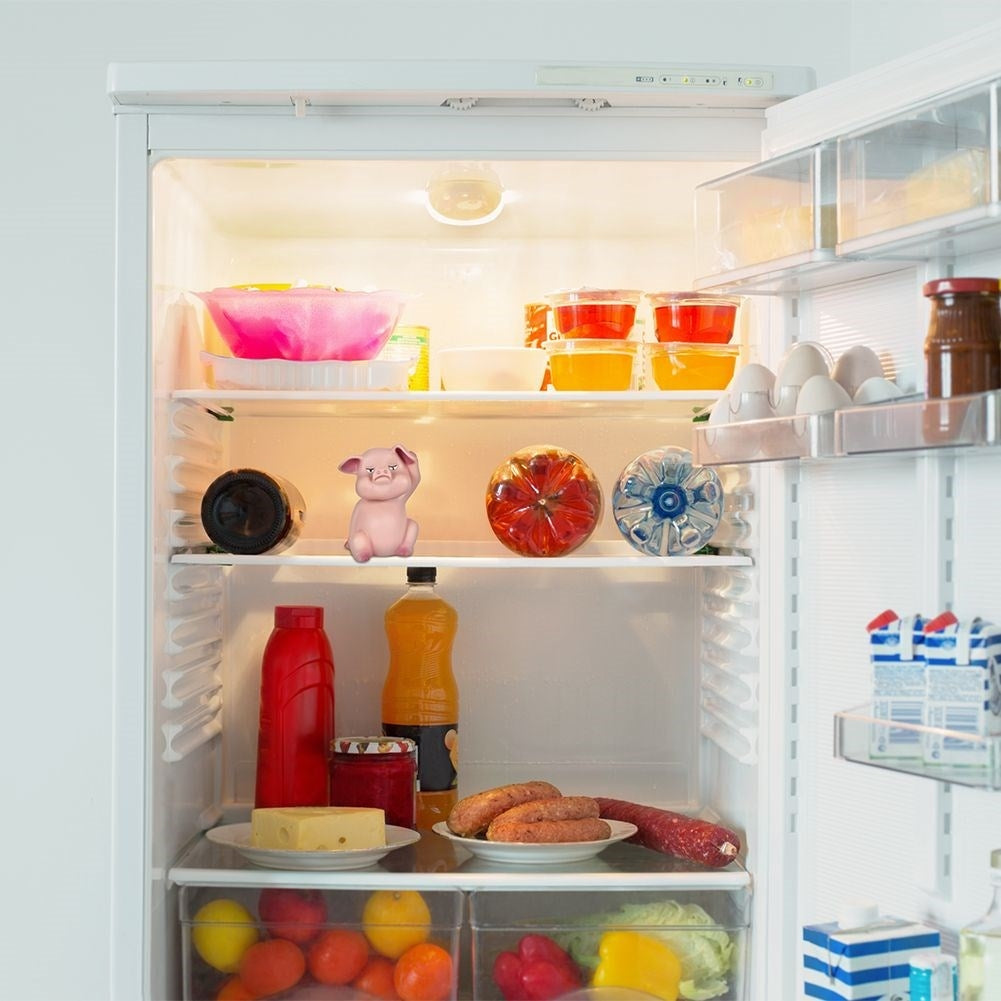 Pig that grunts: Light sensor for the refrigerator door