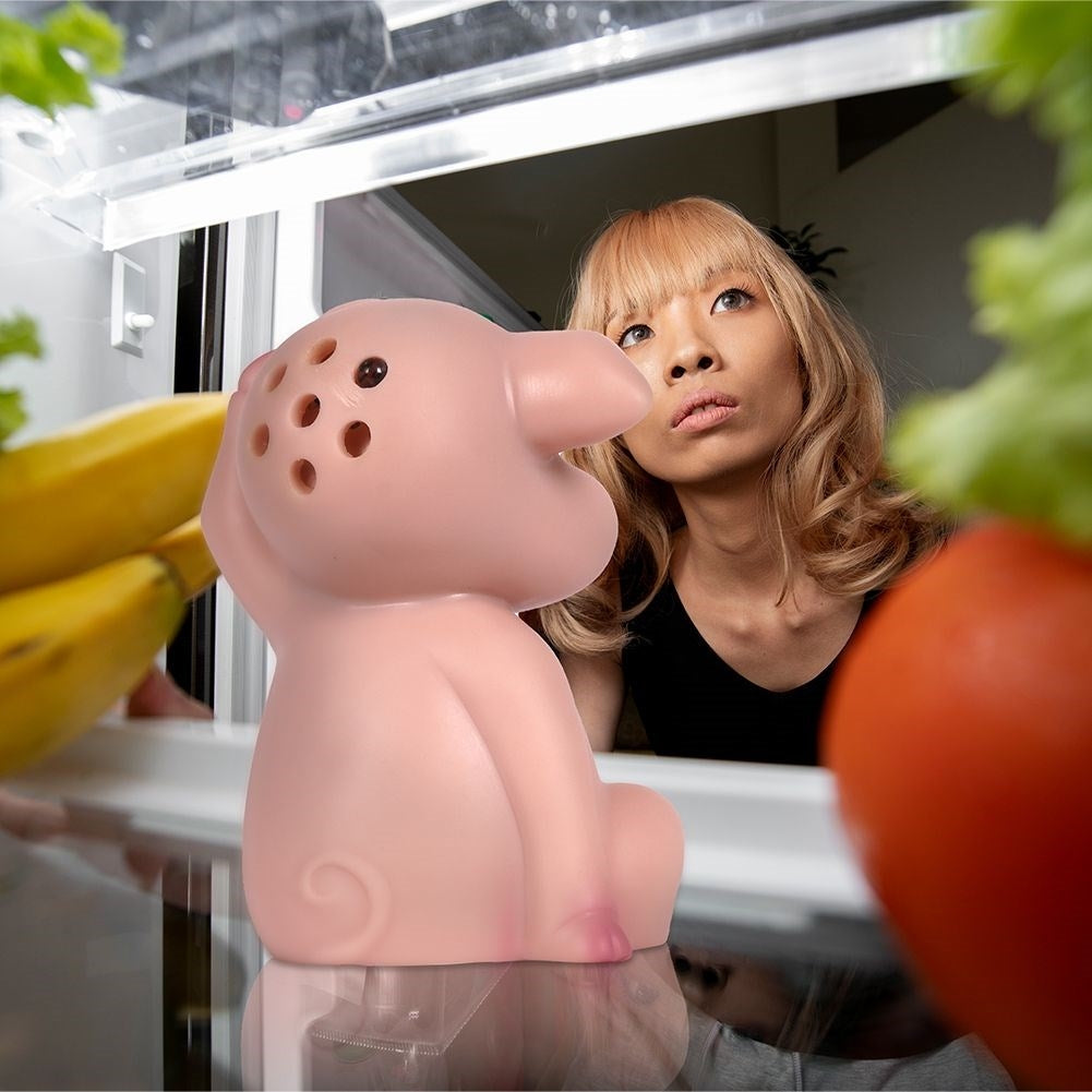 Pig that grunts: Light sensor for the refrigerator door