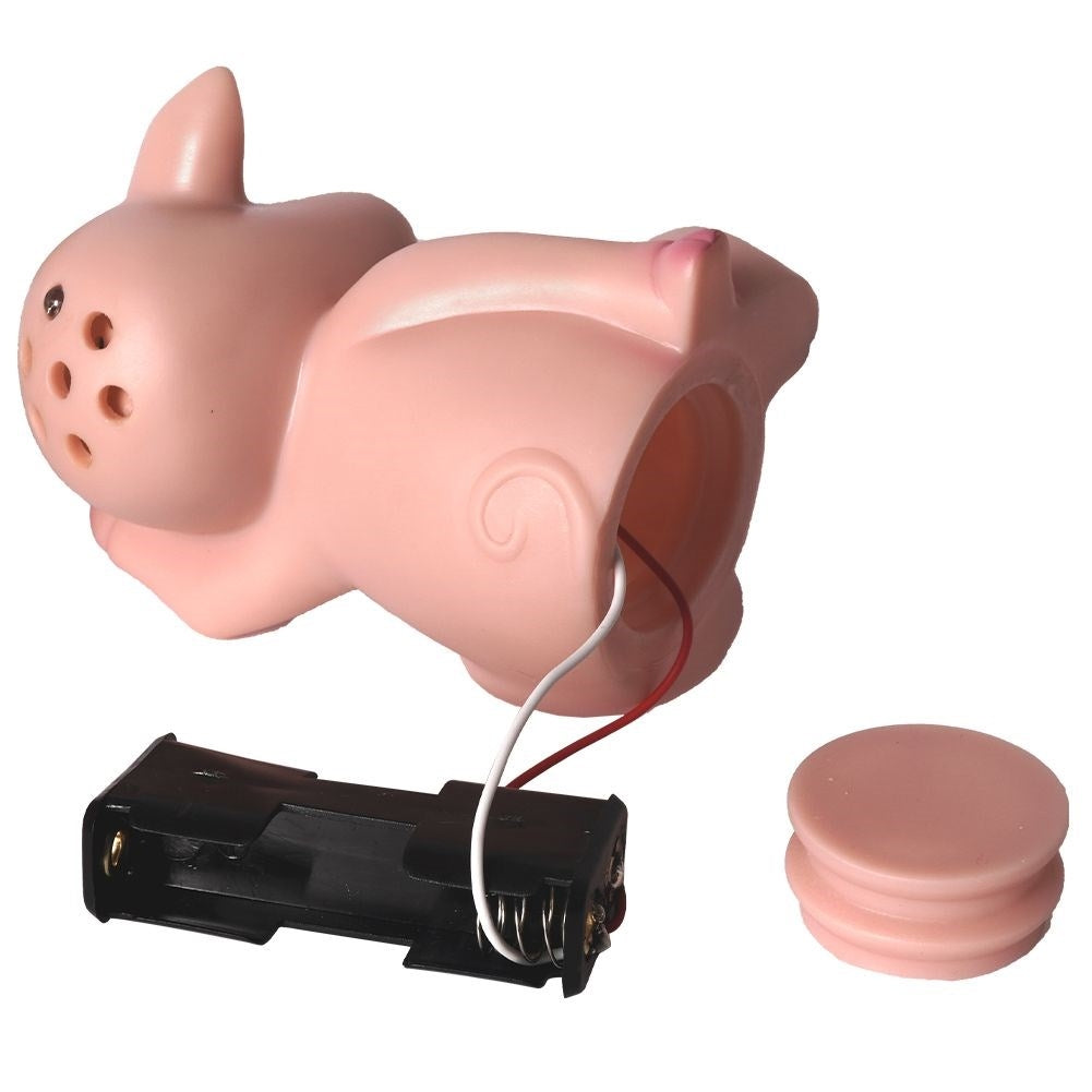 Pig that grunts: Light sensor for the refrigerator door