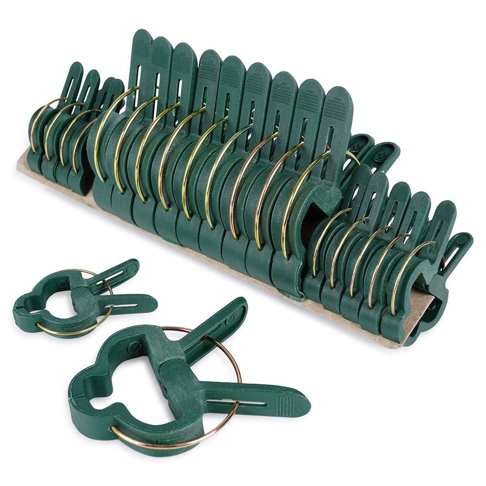 Plant clamps set: Two sizes, support for proper growth