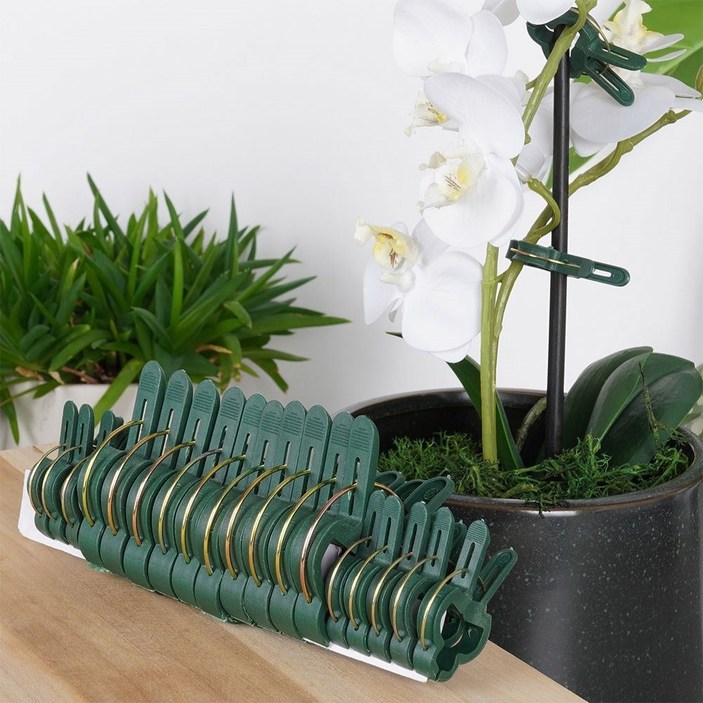 Plant clamps set: Two sizes, support for proper growth
