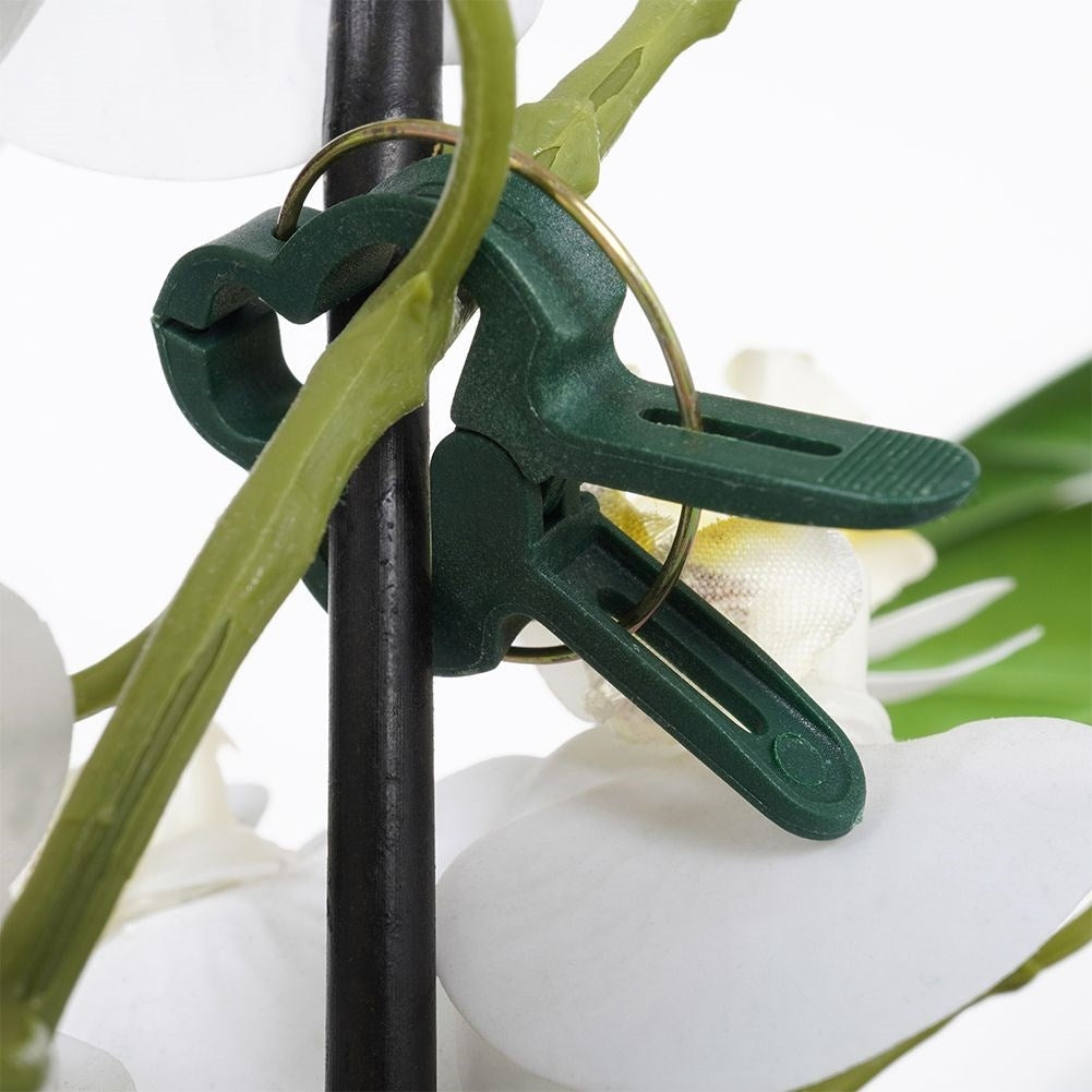Plant clamps set: Two sizes, support for proper growth