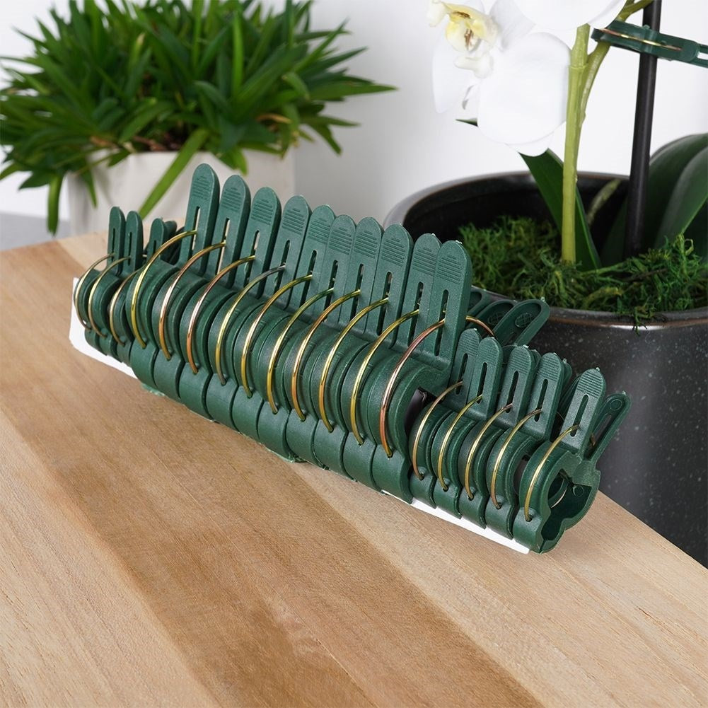 Plant clamps set: Two sizes, support for proper growth