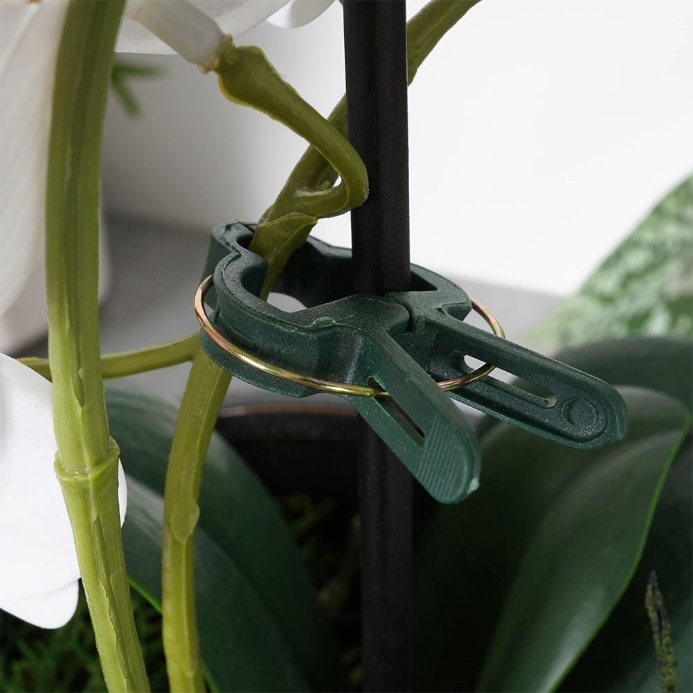 Plant clamps set: Two sizes, support for proper growth