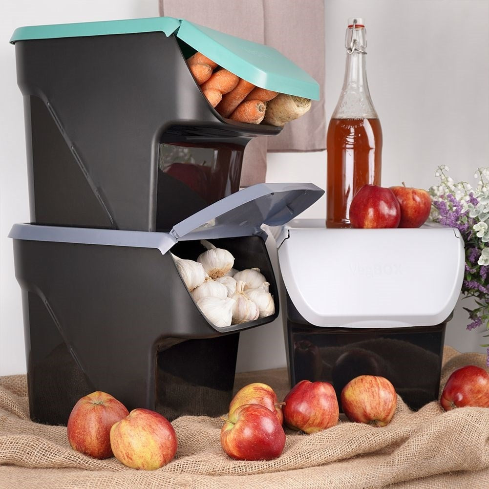 Plastic container with opening lid for fruit and vegetables