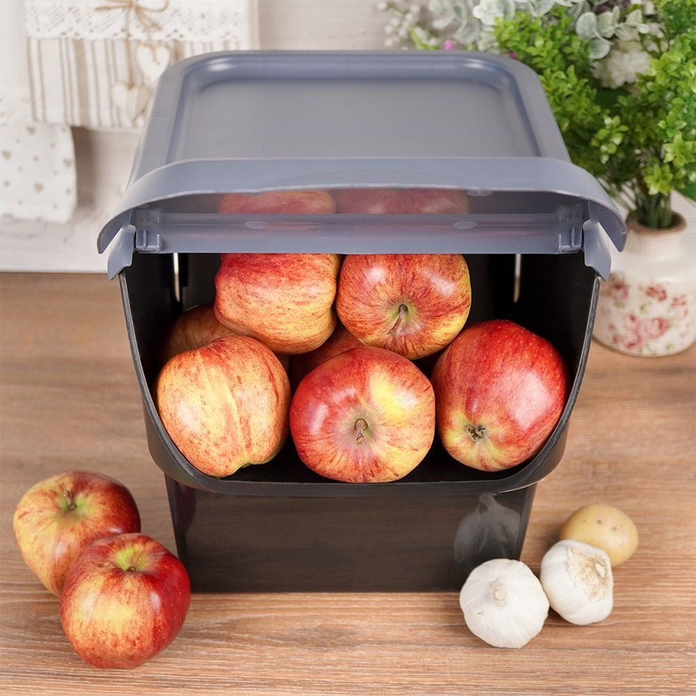 Plastic container with opening lid for fruit and vegetables