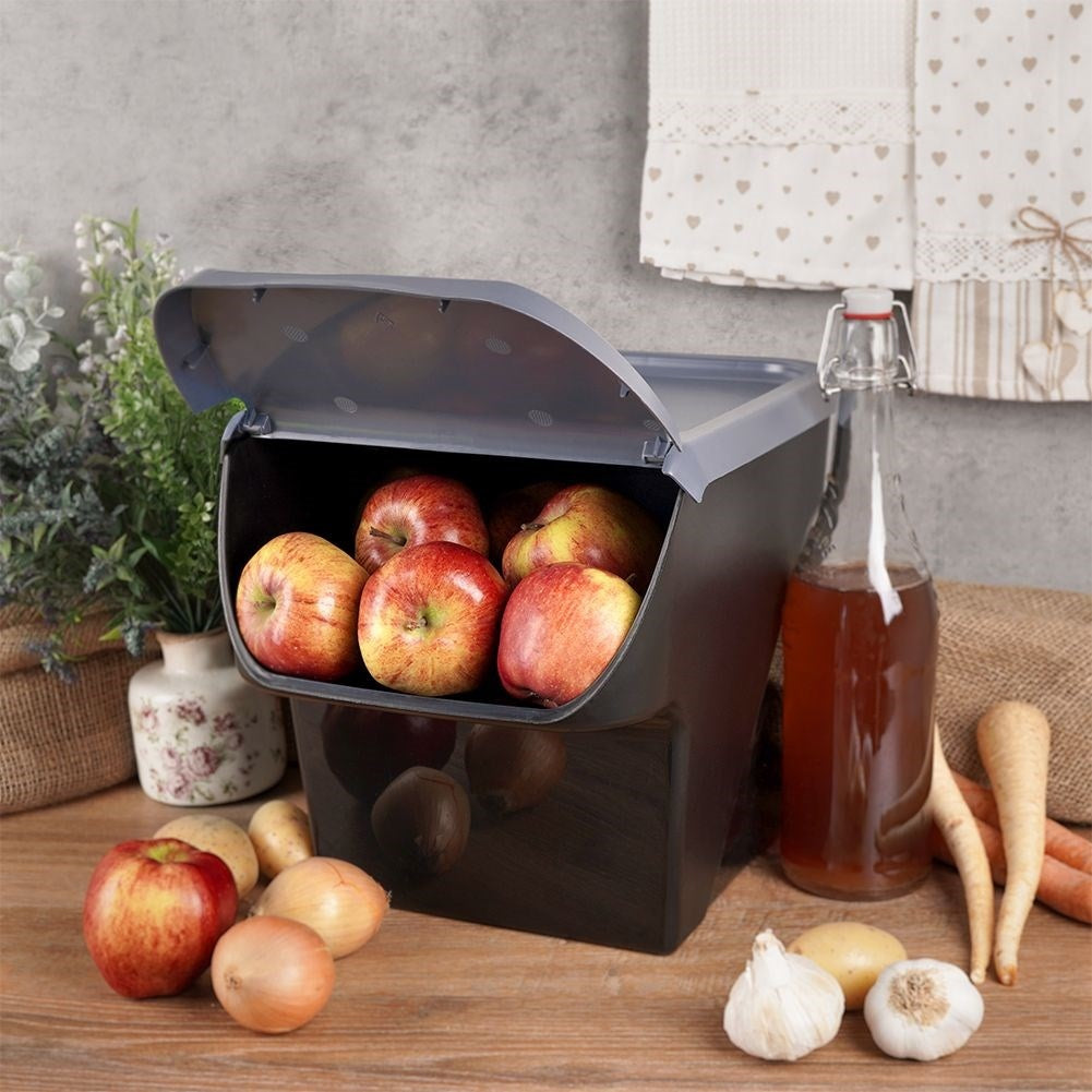 Plastic container with opening lid for fruit and vegetables