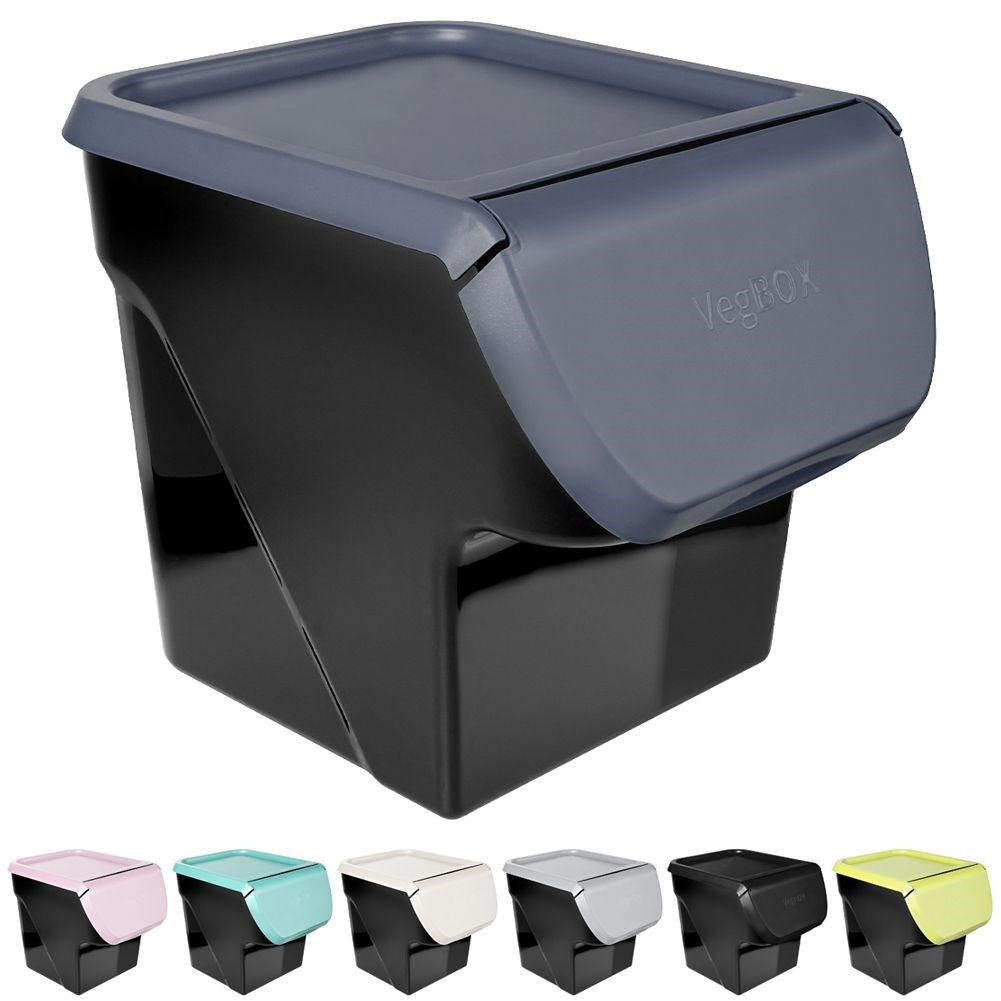 Plastic container with opening lid for fruit and vegetables