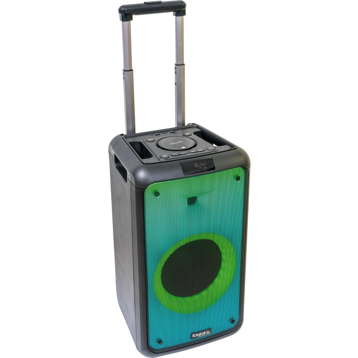 Portable Bluetooth Speaker, 100W, LED Lights