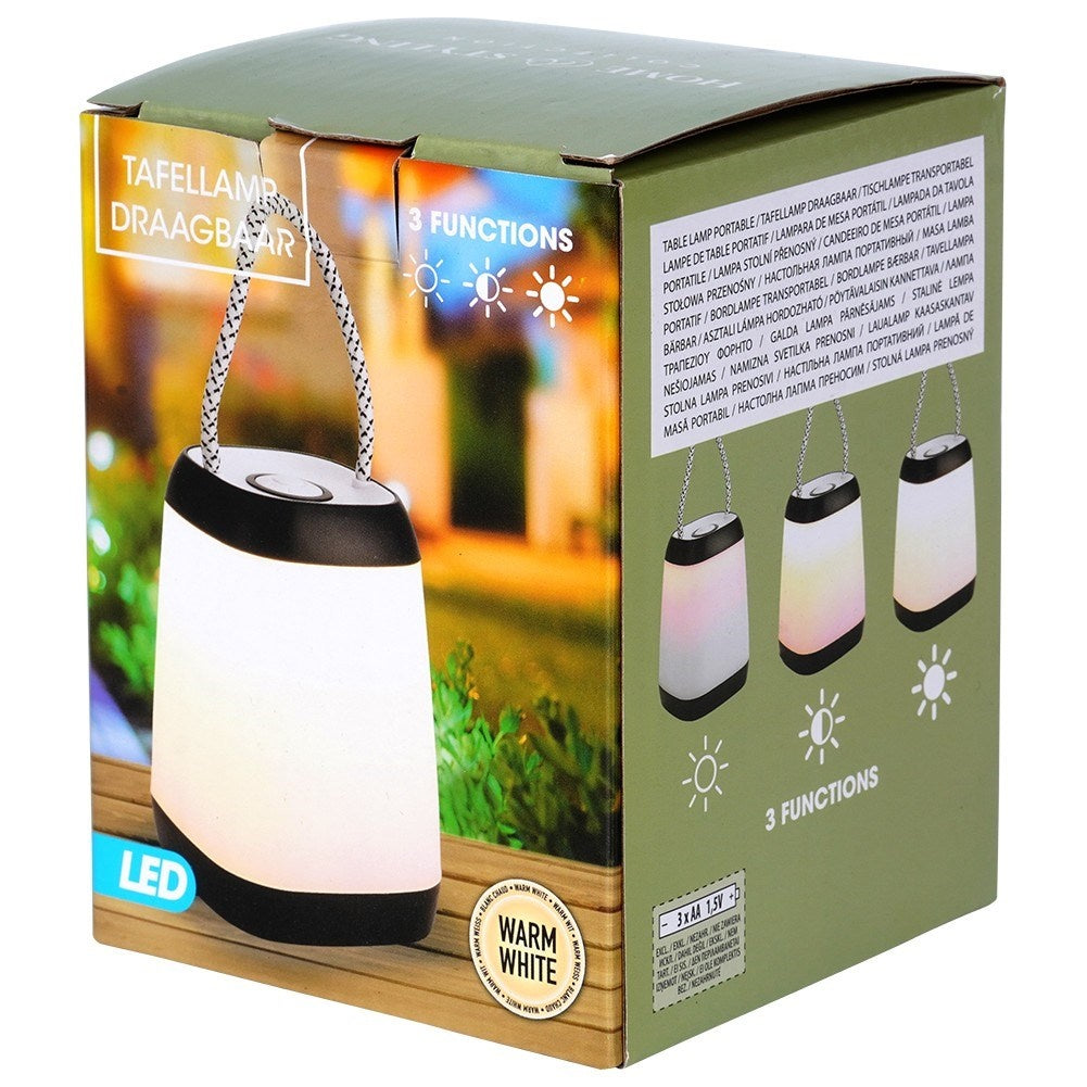Portable LED lamp with battery and three light modes