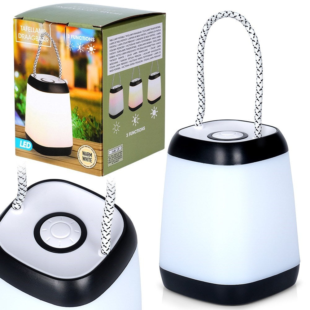 Portable LED lamp with battery and three light modes