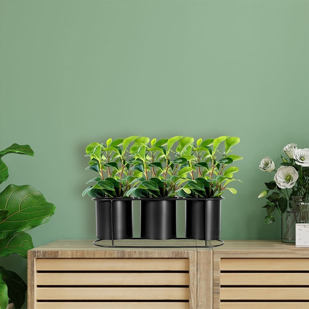 Potted plant stand for three plants in matt black metal
