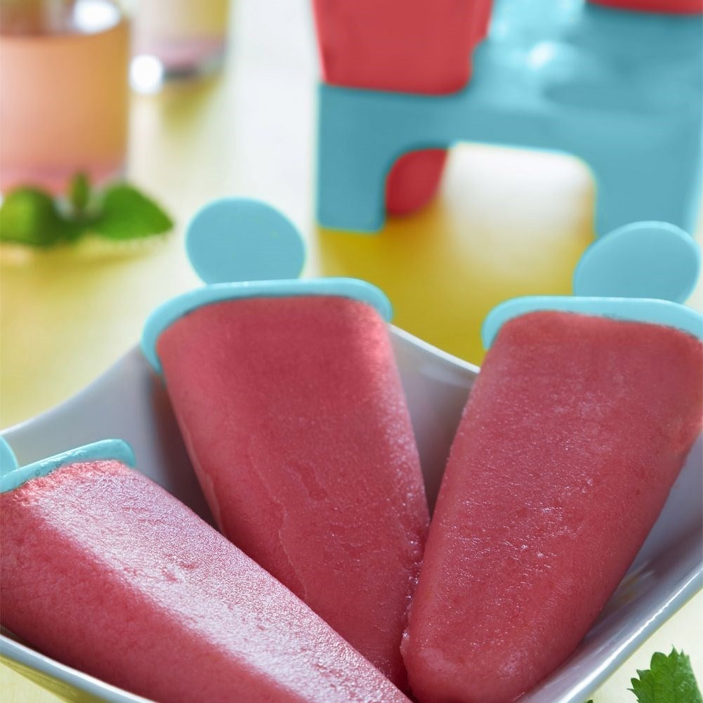 Practical Rack for 6 Homemade Ice Cream Portions