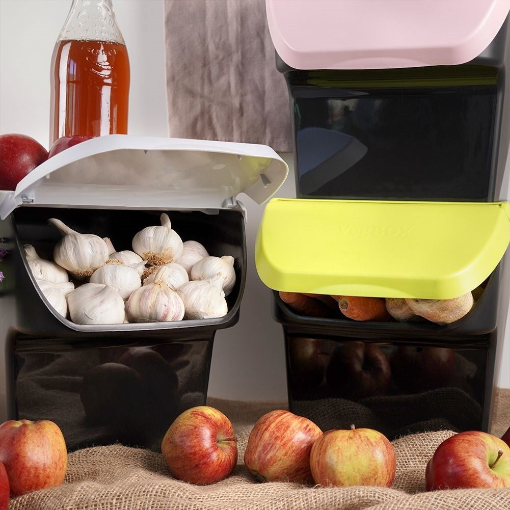Practical container for fruit, vegetables with removable lid