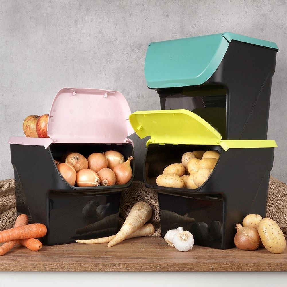Practical container for fruit, vegetables with removable lid