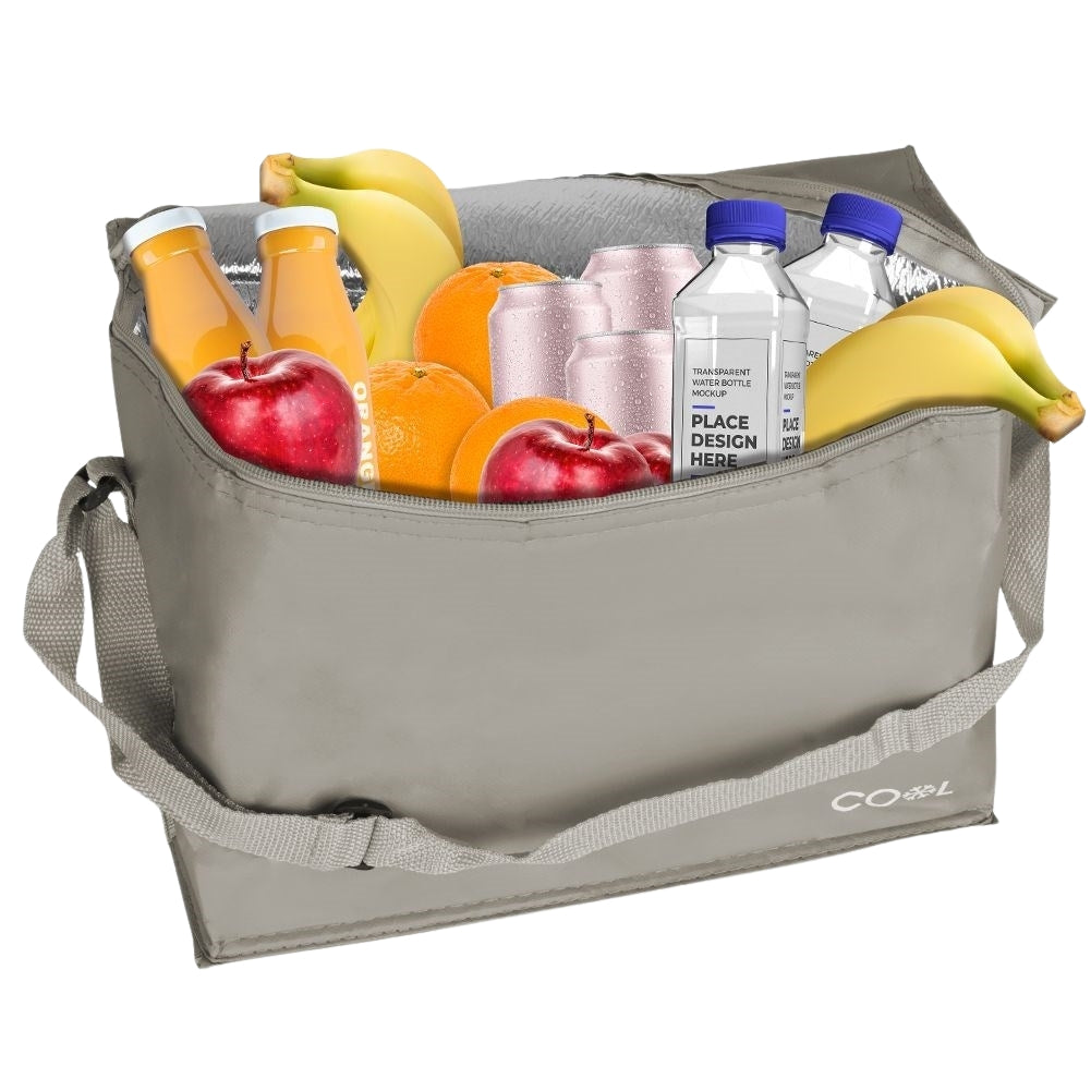 Practical cooler bag 10L with zipper and carrying handle
