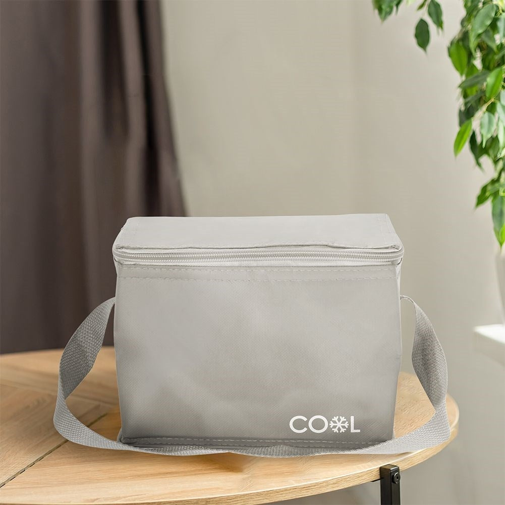 Practical cooler bag 10L with zipper and carrying handle