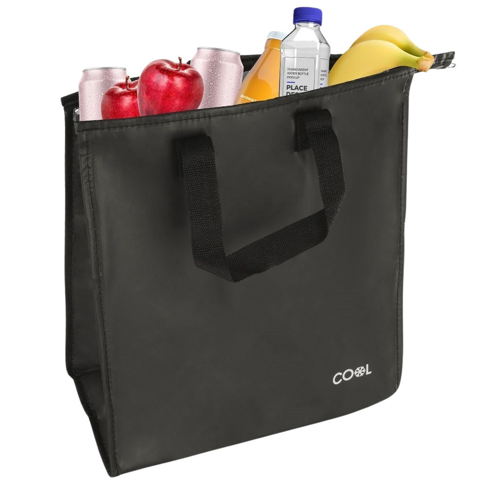 Practical cooler bag 20L with zipper and handle