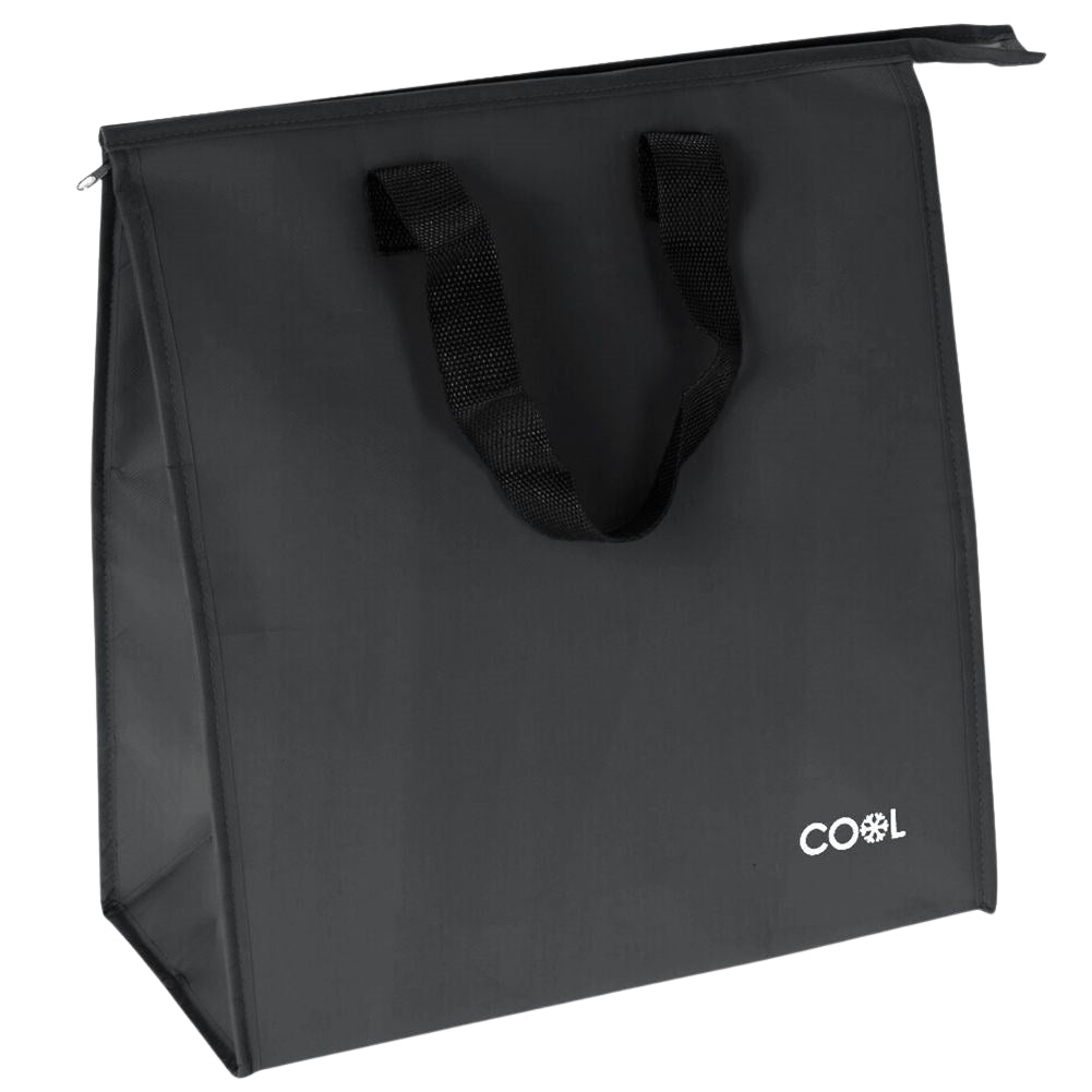 Practical cooler bag 20L with zipper and handle