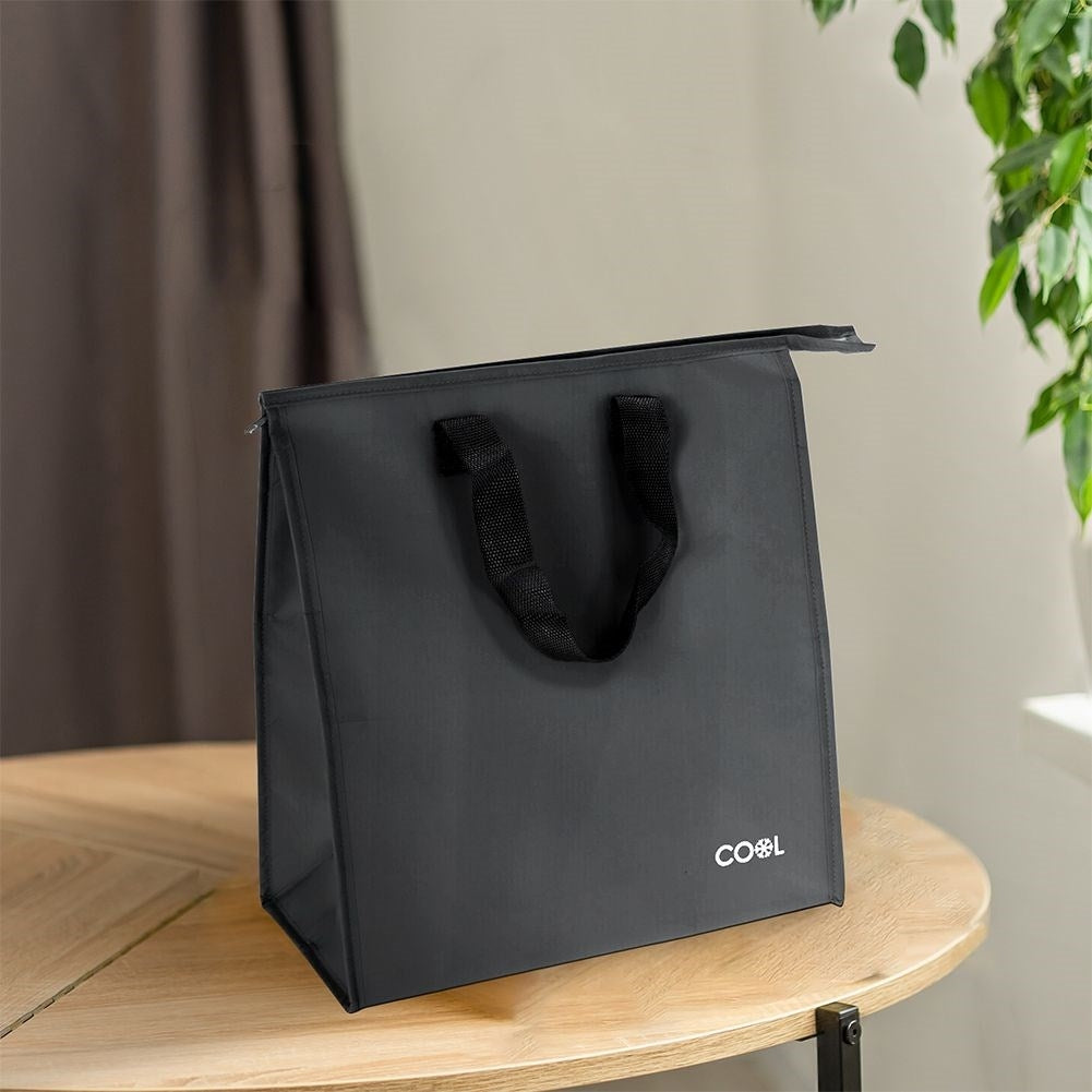 Practical cooler bag 20L with zipper and handle