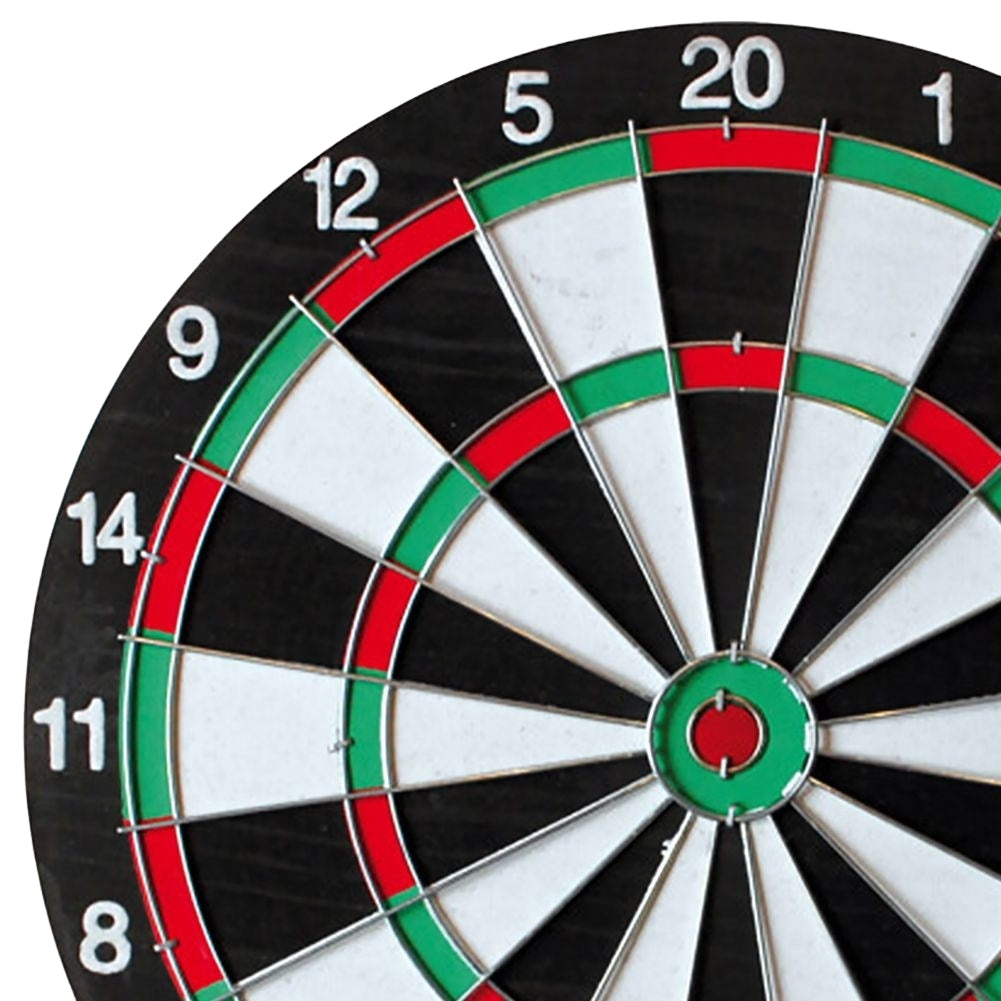 Professional dart board with dart board and dart accessories