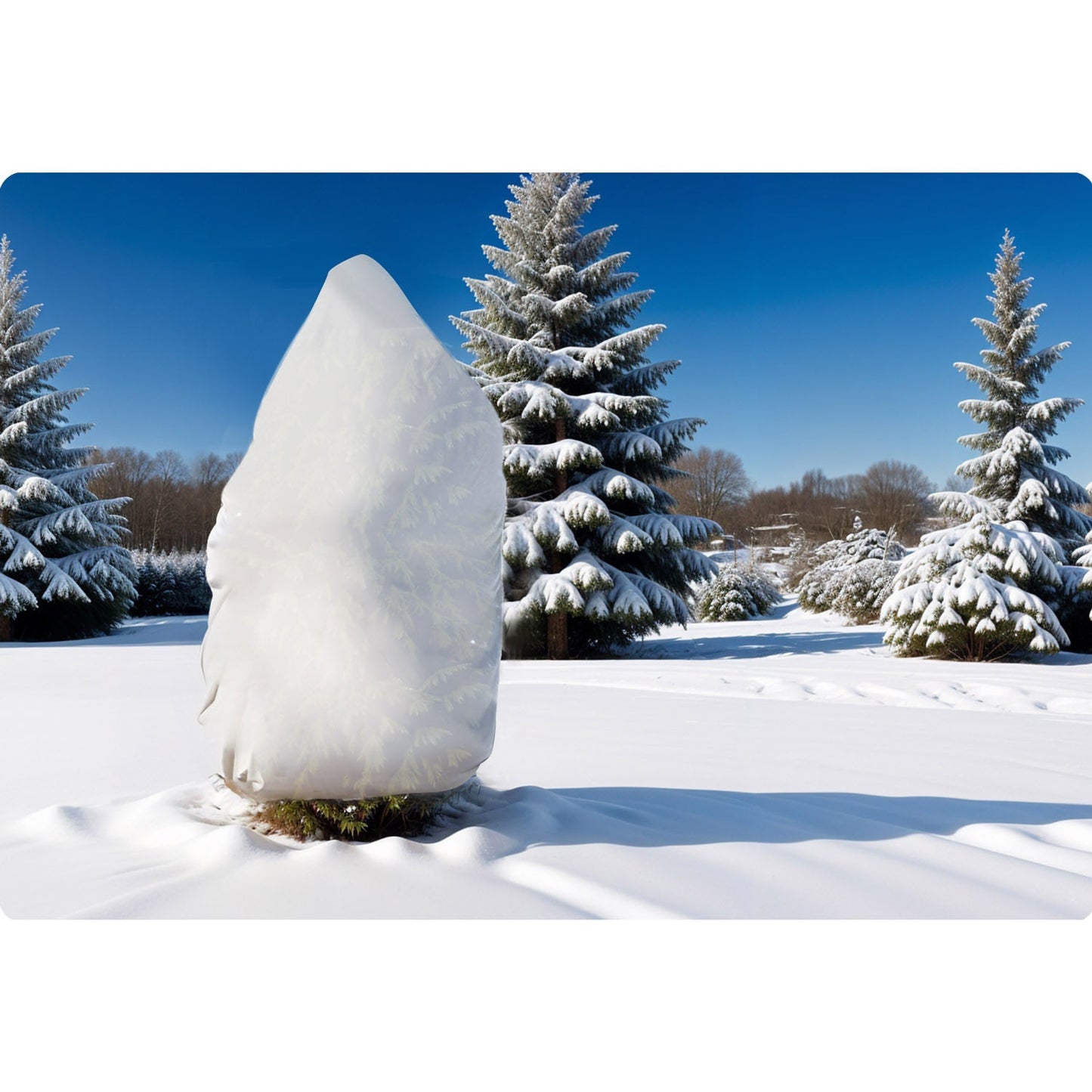 Protective fabric for plants 1000 cm x 160 cm Plonos - white