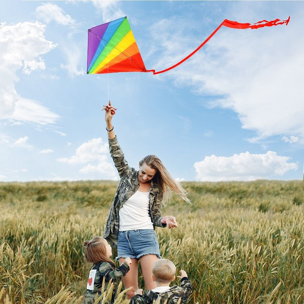 Rainbow kite with 36m line - Colorful and impressive