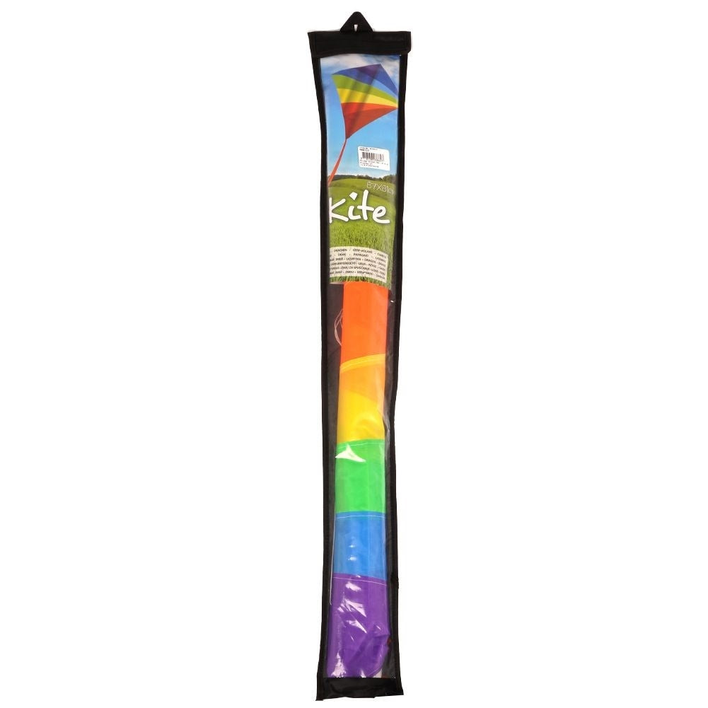 Rainbow kite with 36m line - Colorful and impressive