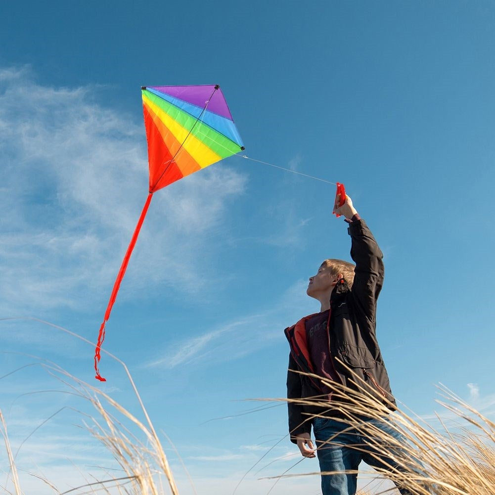 Rainbow kite with 36m line - Colorful and impressive