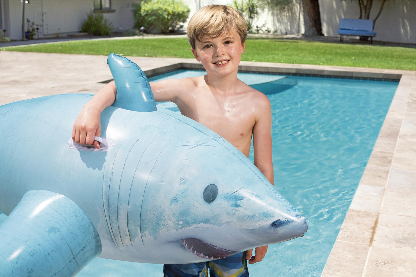Realistic Shark Rider