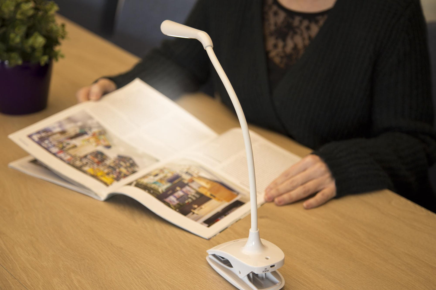 Rechargeable LED Desk Lamp with Clamp, Adjustable Light