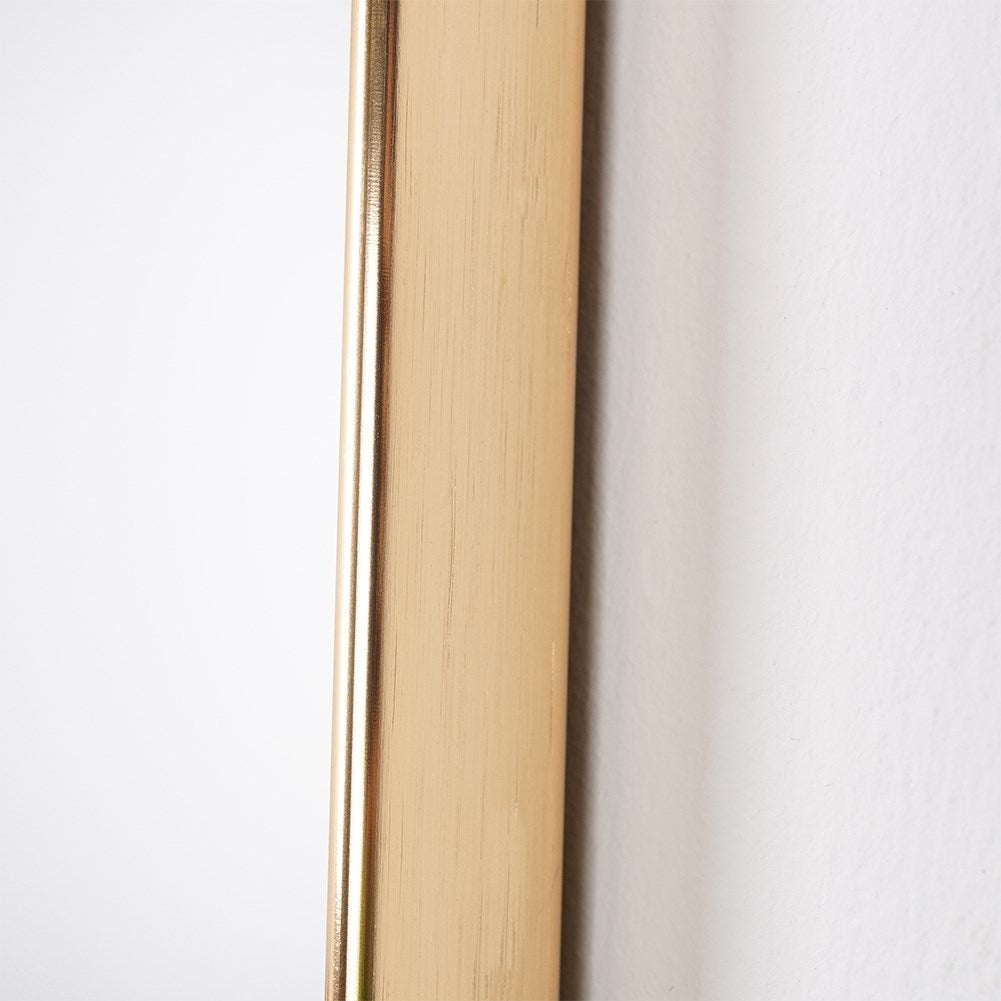 Rectangular Wall Mirror with Gold-Framed Metal and Rounded Corners