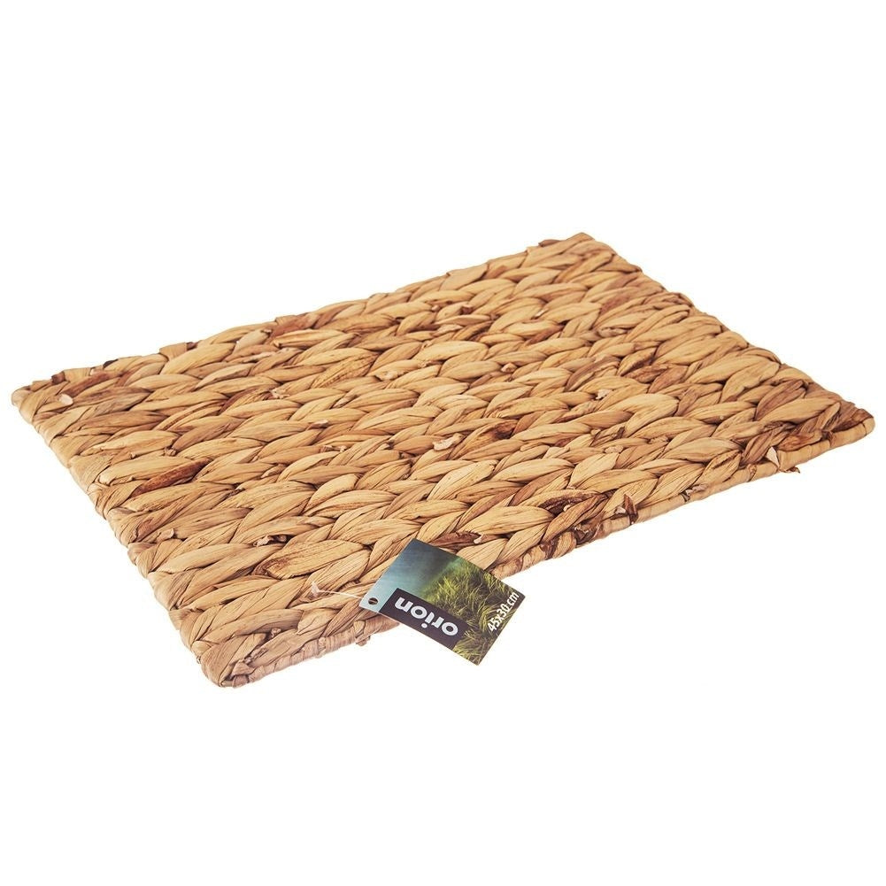 Rectangular table tray in seaweed with metal frame