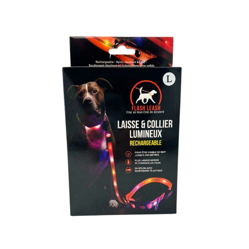 Reflective Dog Leash & Collar Set – Weather Resistant, 1.5M