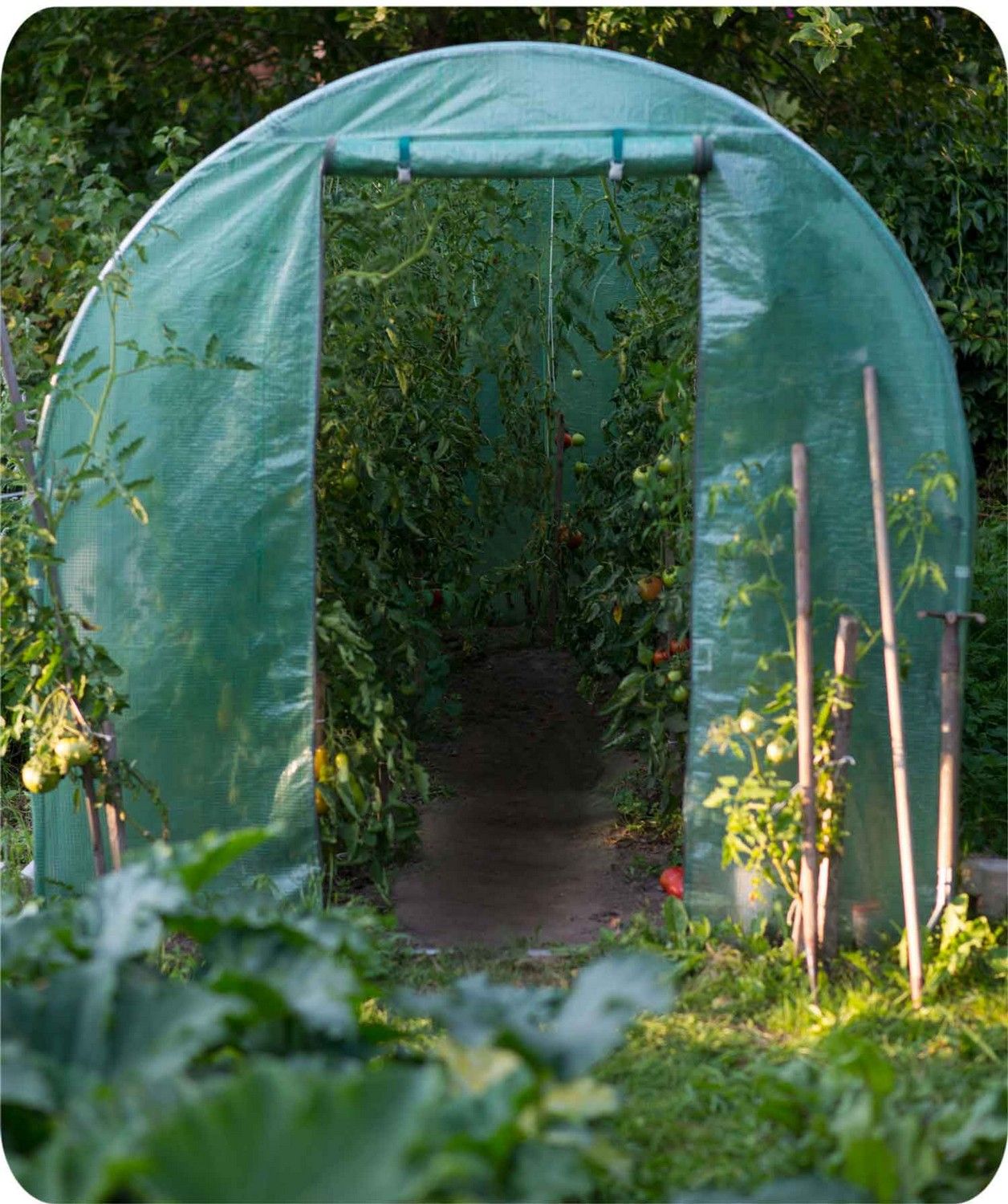Reinforced garden tunnel 2x3.5 m (7m2) Plonos