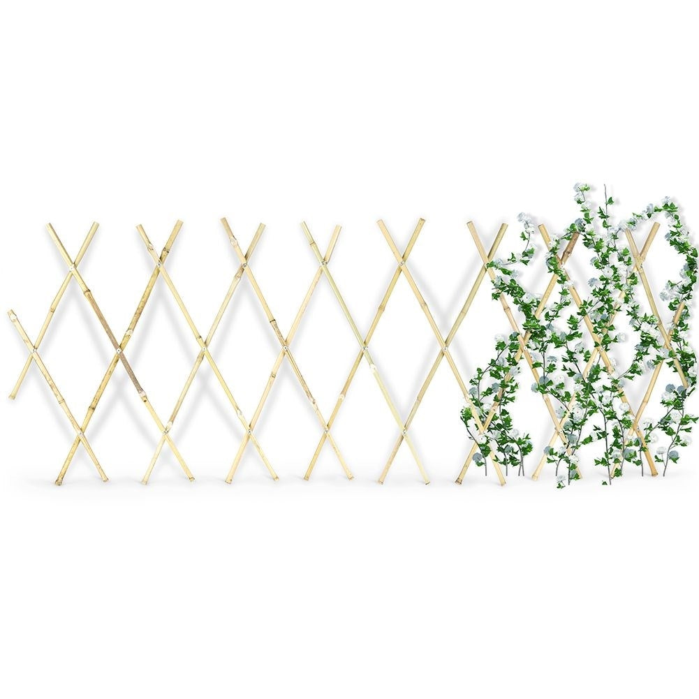 Retractable bamboo trellis for climbing plants in the garden