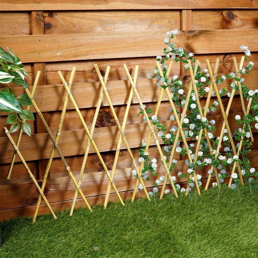 Retractable bamboo trellis for climbing plants in the garden
